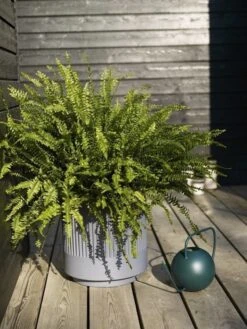 Hubsch Bloempot Set Donkergrijs -Hubsch hubsch bloempot set donkergrijs 2