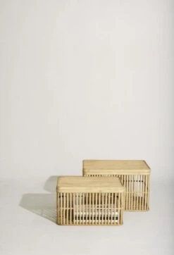 Hubsch Cheery Manden Set Van 2 Stuks - 031501 -Hubsch hubsch cheery manden set van 2 stuks 031501 7