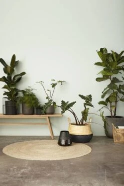 Hubsch Houten Bank -Hubsch hubsch houten bank 2