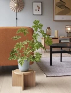 Hubsch Planten Standaard Eikenhout - Naturel -Hubsch hubsch planten standaard eikenhout naturel 2